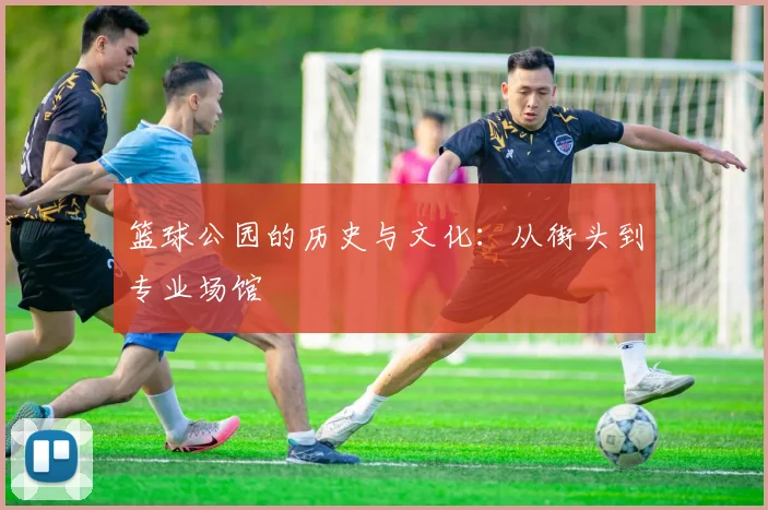 篮球公园的历史与文化：从街头到专业场馆