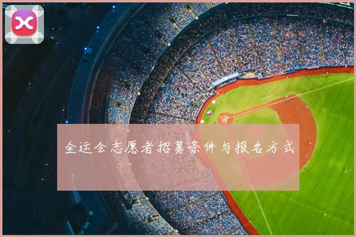 全运会志愿者招募条件与报名方式