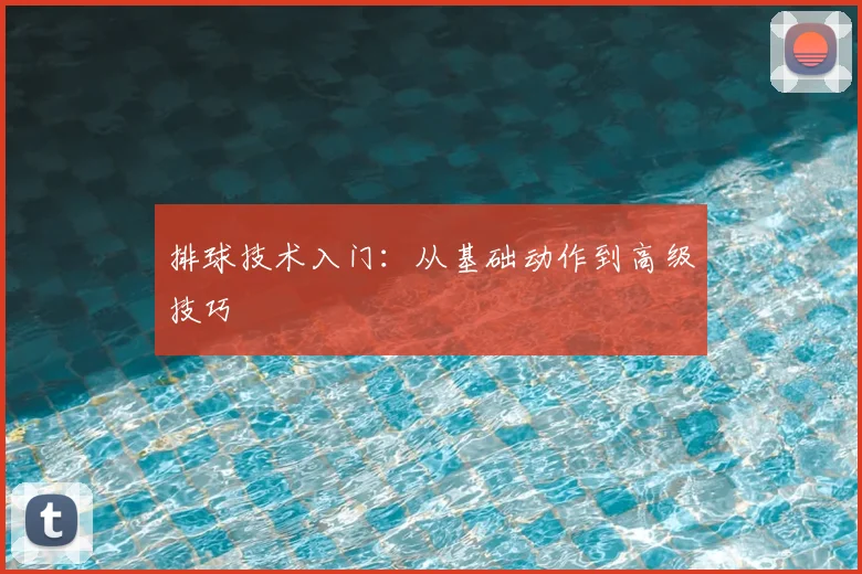 排球技术入门：从基础动作到高级技巧