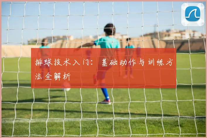 排球技术入门:基础动作与训练方法全解析