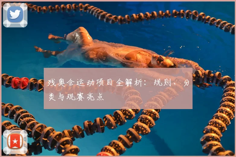 残奥会运动项目全解析：规则、分类与观赛亮点