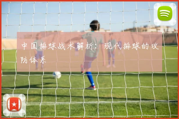中国排球战术解析：现代排球的攻防体系