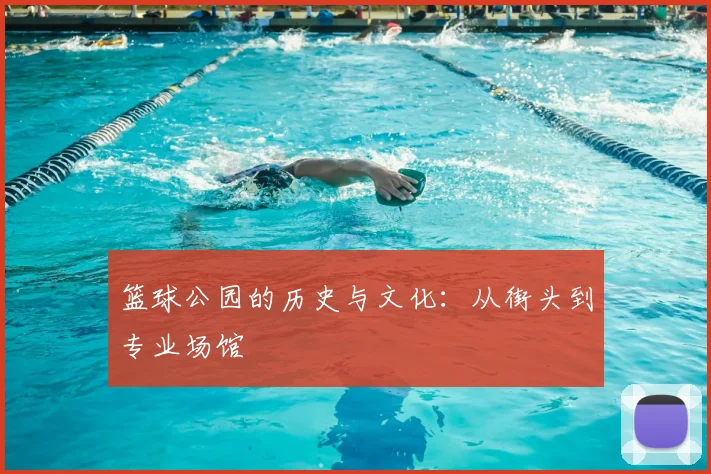 篮球公园的历史与文化：从街头到专业场馆