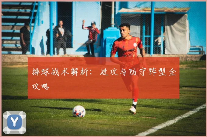 排球战术解析：进攻与防守阵型全攻略