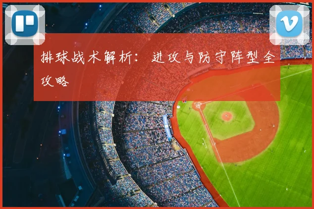 排球战术解析：进攻与防守阵型全攻略